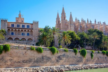 Cathedral of Palma de Mallorca clipart