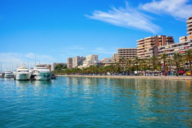 Bay Mayorka Adası