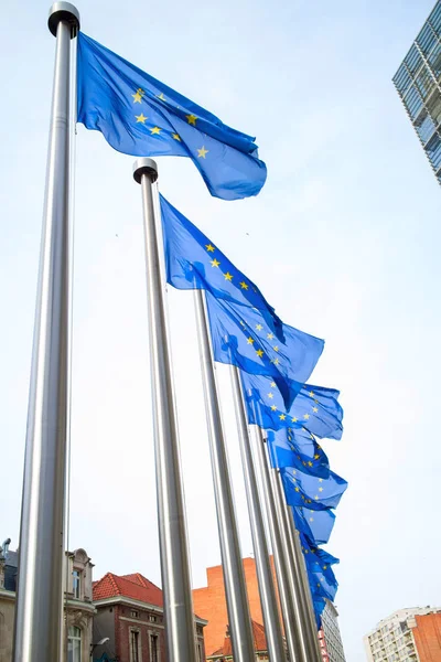 European Union flags — Stock Photo, Image