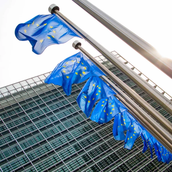 Флаги Европейского союза — стоковое фото