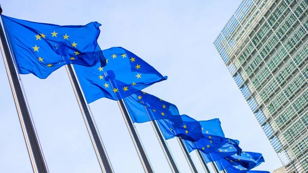 Drapeaux de l'Union européenne — Photo