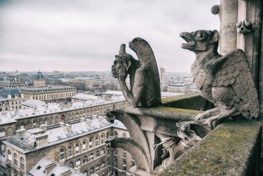 Notre Dame üstten görüntülemek