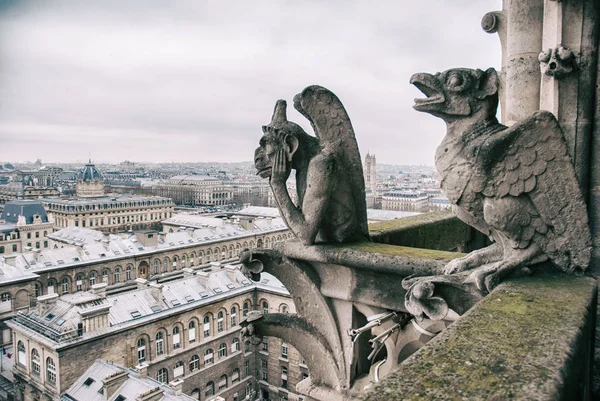 Nézd meg a tetején a Notre-Dame — Stock Fotó