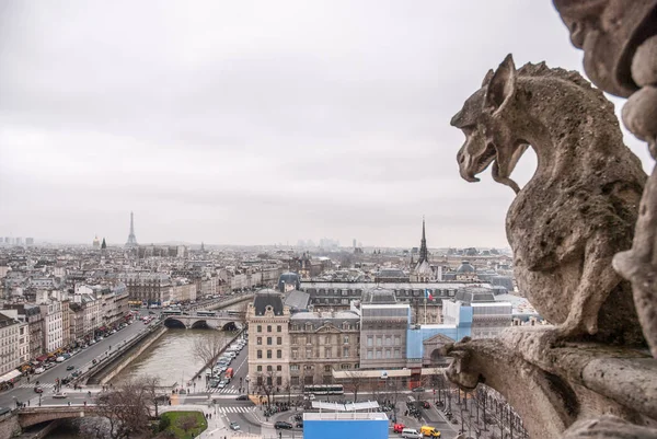 Notre Dame üstten görüntülemek — Stok fotoğraf