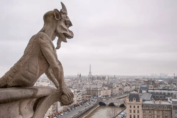 Notre Dame üstten görüntülemek — Stok fotoğraf