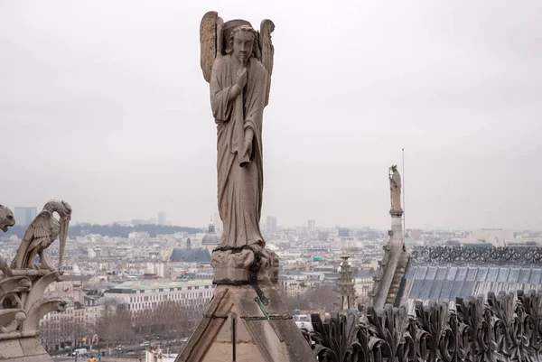 Notre Dame üstten görüntülemek — Stok fotoğraf