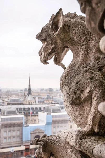 Nézd meg a tetején a Notre-Dame — Stock Fotó