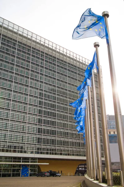 European flags in front of European Parliament — Stock Photo, Image