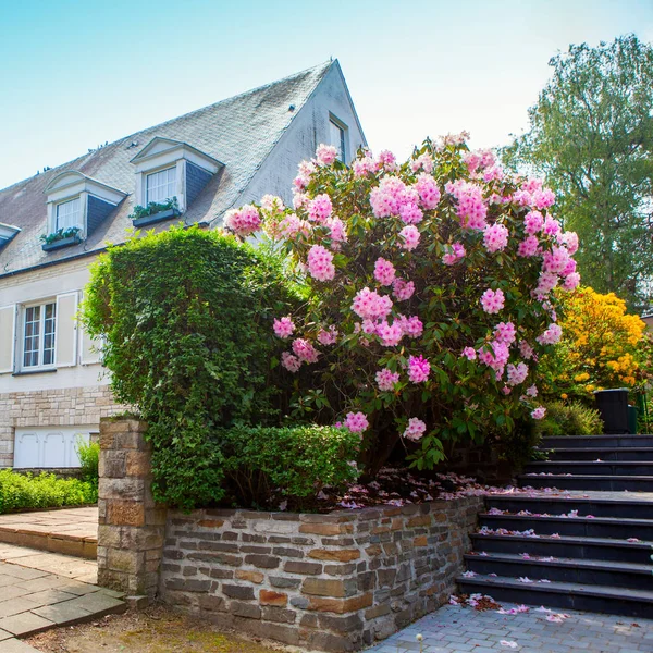 flowers in house garden at Brugges