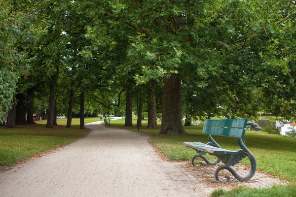 Solo banco en el parque공원에 있는 외로운 벤치 — 스톡 사진