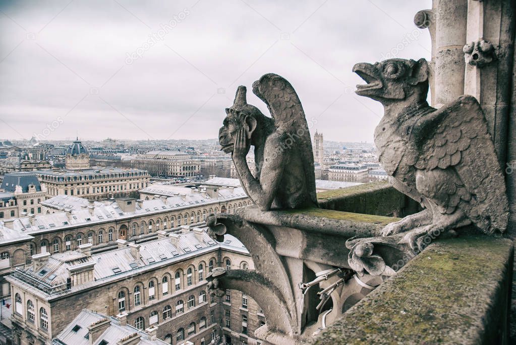 view from top of Notre Dame