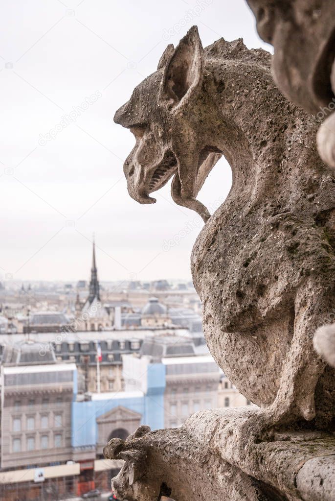 view from top of Notre Dame
