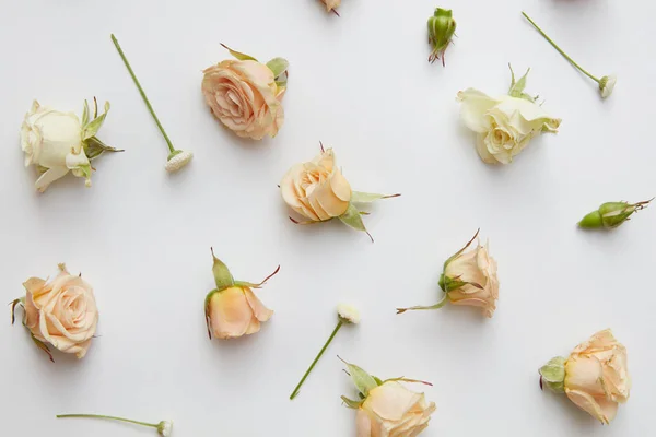 장미 머리 패턴 — 스톡 사진