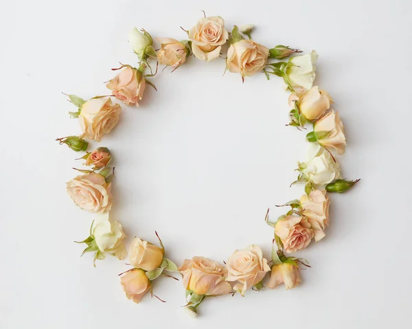 Głowice róże okrągłe ramki — Zdjęcie stockowe
