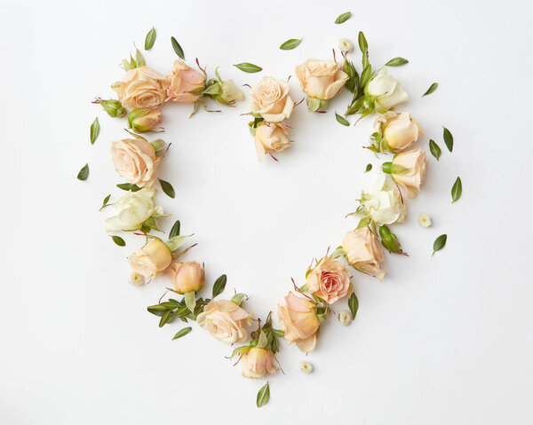 roses heads heart shaped frame