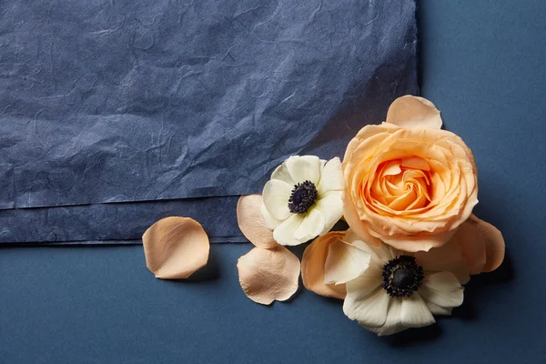 종이의 검은 조각 꽃 — 스톡 사진