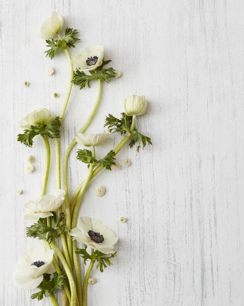 Composition de fleurs blanches pour la Saint Valentin — Photo