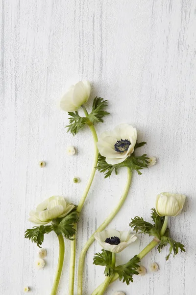 Sevgililer günü için beyaz çiçek kompozisyon — Stok fotoğraf