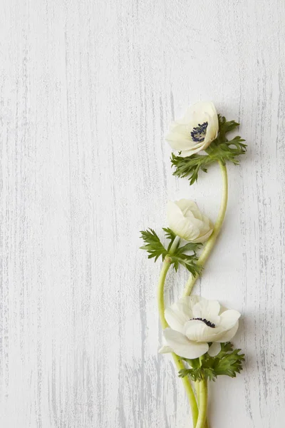 Composición de flores blancas para el día de San Valentín — Foto de Stock