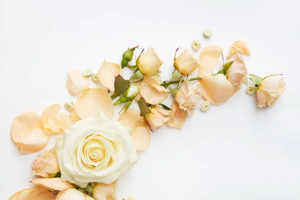 Komposition von Rosen und Blütenblättern — Stockfoto