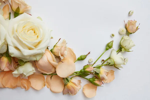 Komposition von Rosen und Blütenblättern — Stockfoto