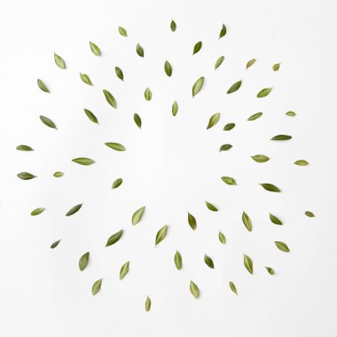 yeşil yaprakları yapılmış güneş