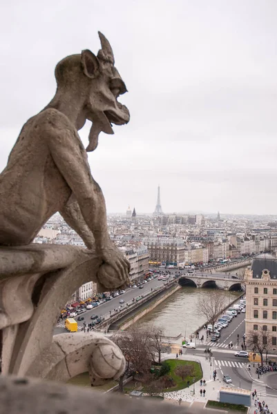 Chimera Notre Dame — Stok fotoğraf