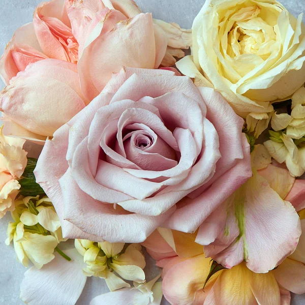 Красиві Асорті квіти — стокове фото