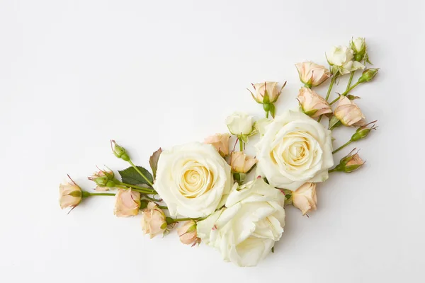 Composição rosas bonitas — Fotografia de Stock