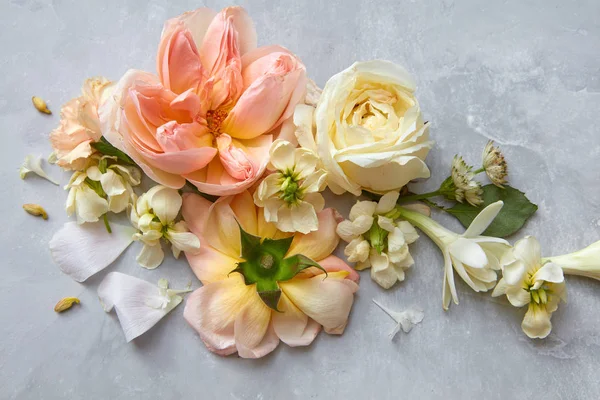 Güzel çeşitli çiçekler — Stok fotoğraf