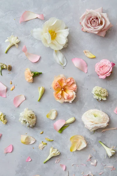 Schön sortierte Blumen und Blütenblätter — Stockfoto