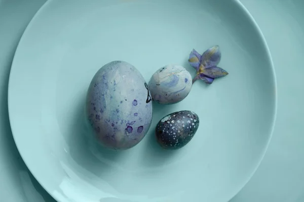 Ovos azuis no prato — Fotografia de Stock