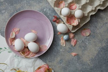 tabakta tavuk yumurtası