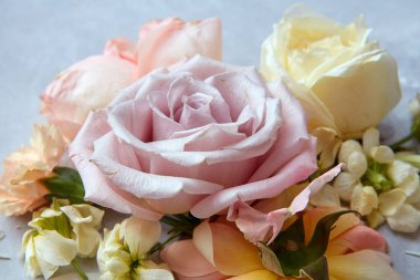 güzel çeşitli çiçekler