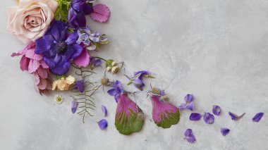 güzel çeşitli çiçek ve yaprakları