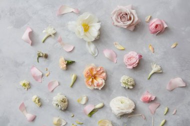 güzel çeşitli çiçek ve yaprakları