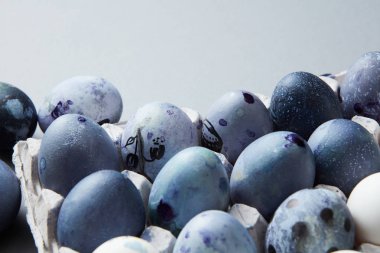 Paskalya yumurtaları kağıt tepsisinde