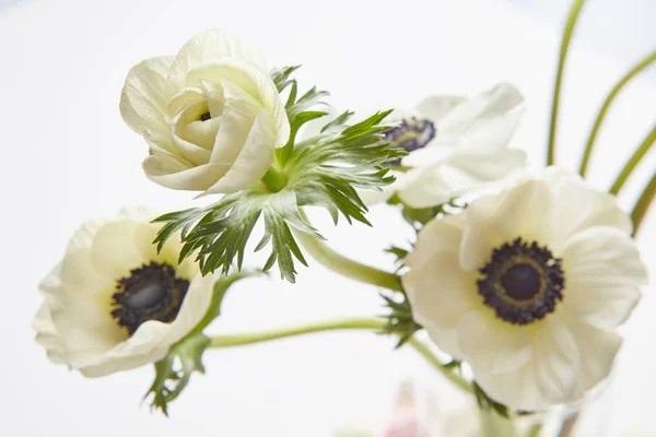 Komposition weißer Blüten zum Valentinstag — Stockfoto