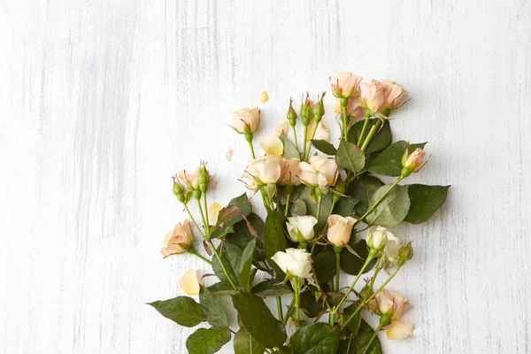 Composição rosas bonitas — Fotografia de Stock