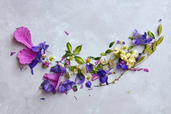 Composição de belas flores — Fotografia de Stock