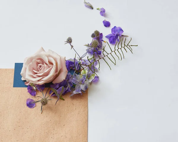 Marco con hermosas flores — Foto de Stock