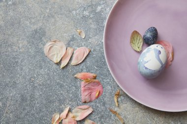 Plaka üzerinde mavi Paskalya yumurtaları