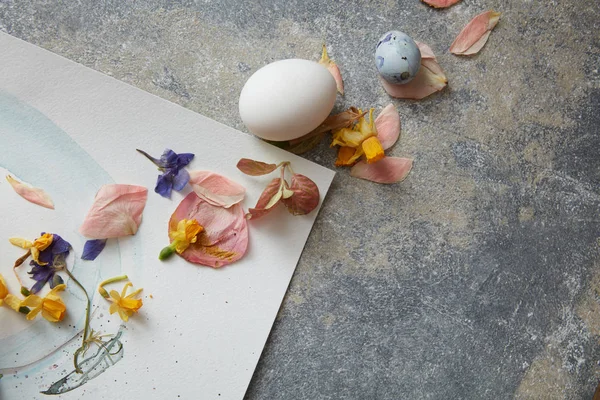 Eggs on paper with dried flowers — Stock Photo, Image