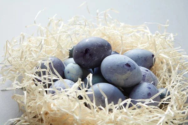 Blue easter eggs in nest — Stock Photo, Image