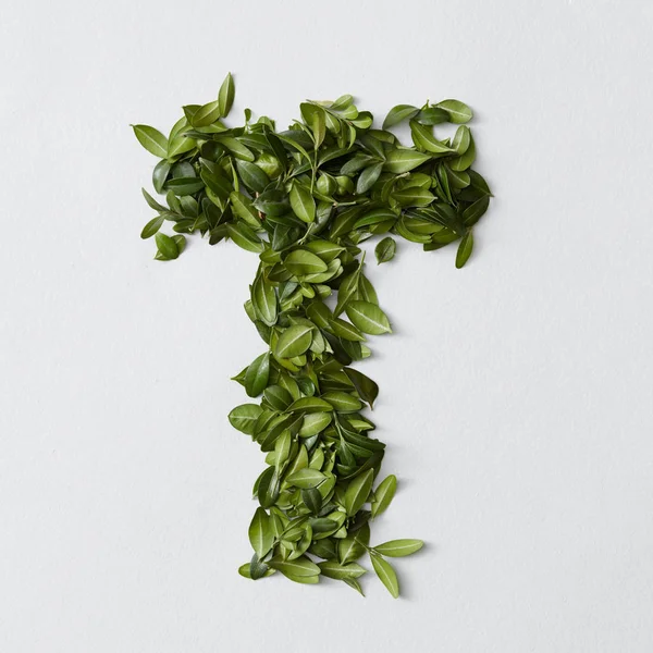 Litera T z zielonych liści — Zdjęcie stockowe