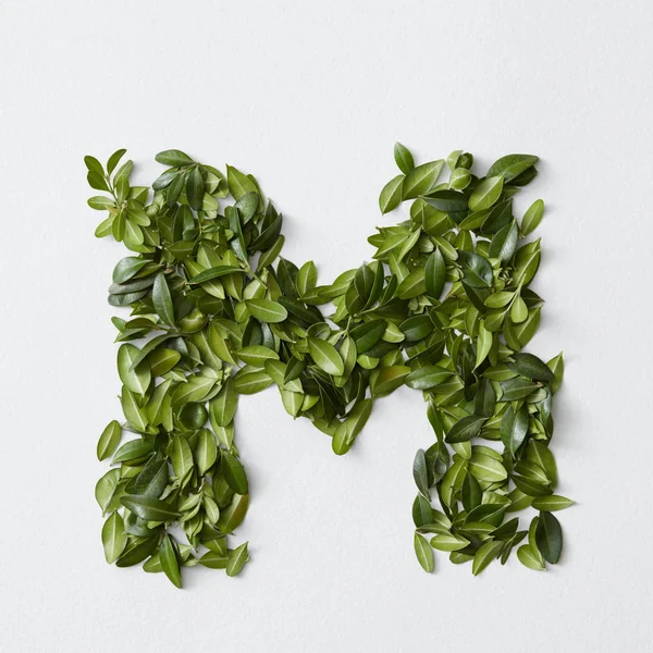 Carta M representada com folhas verdes — Fotografia de Stock