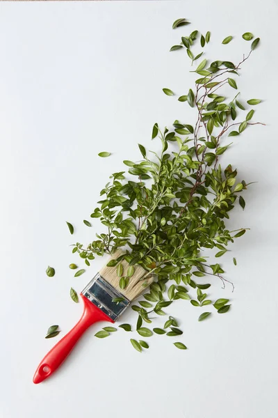 Borstel met groene bladeren — Stockfoto