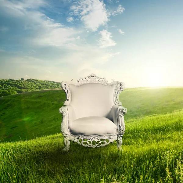 Armchair in green field Stock Photo