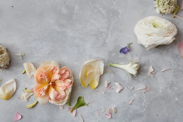 Sammansättningen av blommor som isolerade — Stockfoto