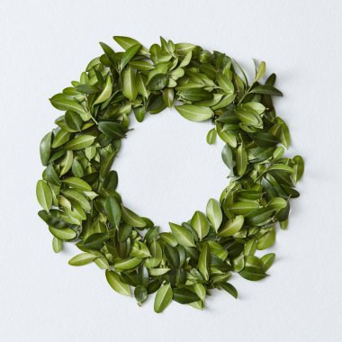 yeşil yaprak çerçeve